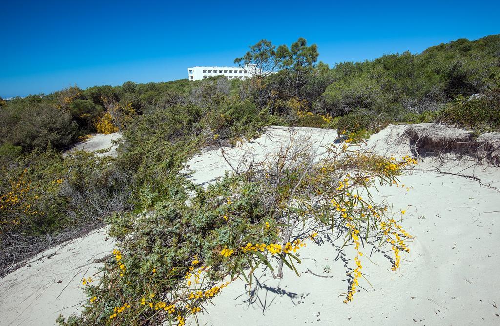 Ecoresort Le Sirene - Caroli Hotels Gallipolli Exteriör bild